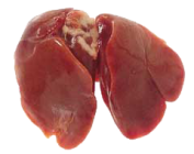 10-Chicken-Liver-177x140.png