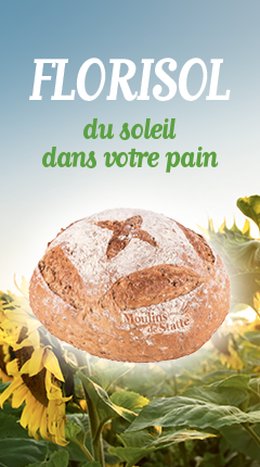 banner-vertical-Florisol.png
