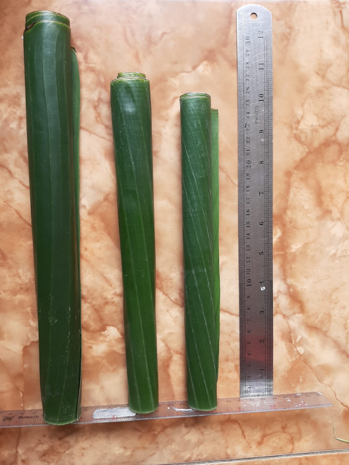 banana_leaf_pisang_batu_jonggol_5.jpg