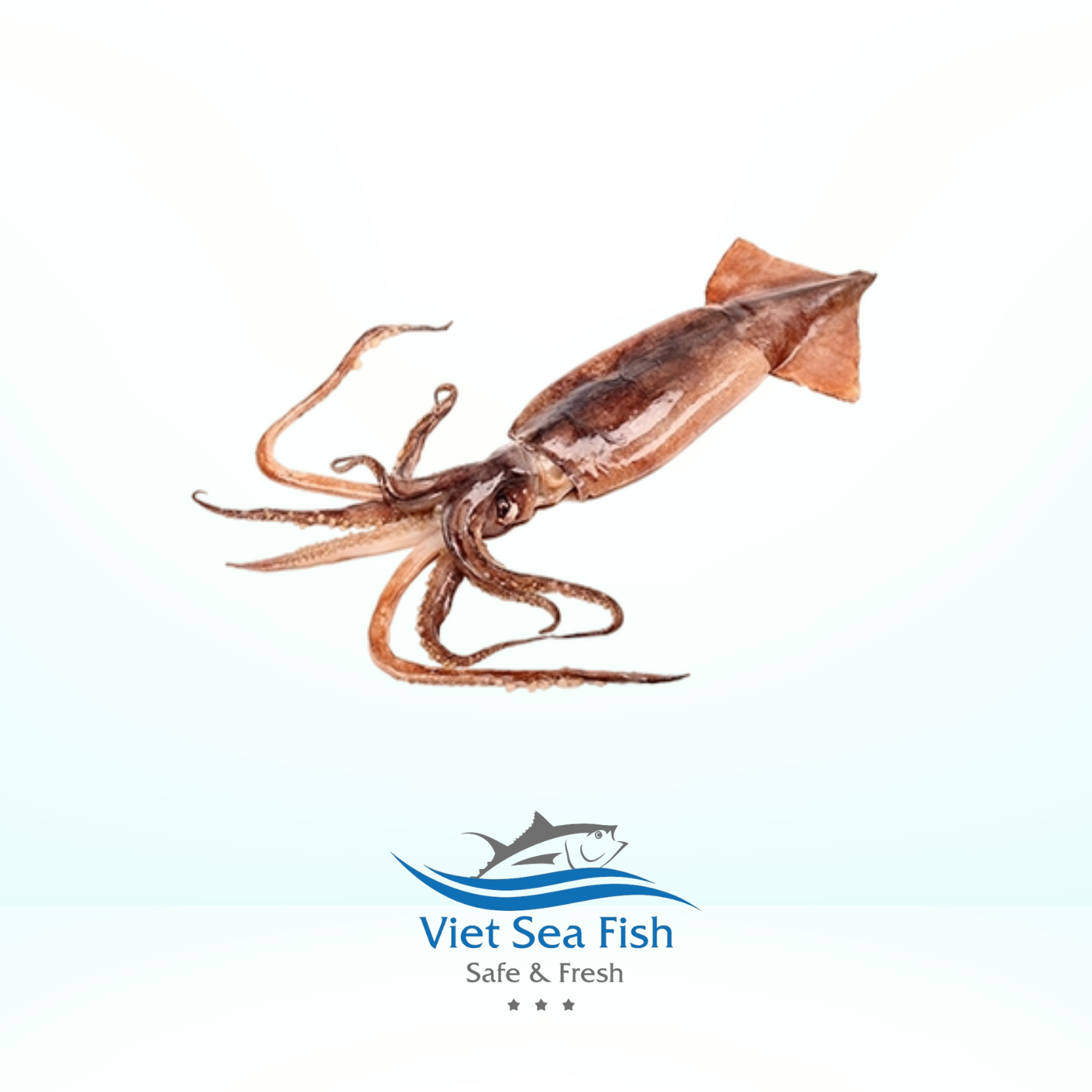 ILLEX Squid.png