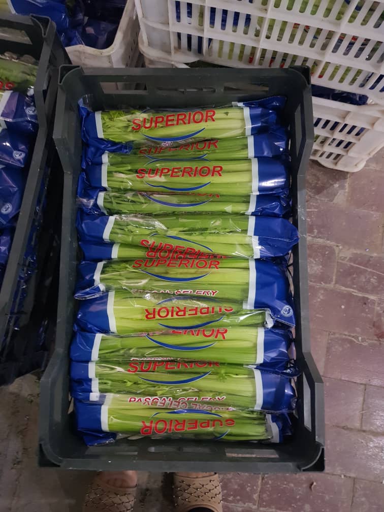 IMG-20190624-WA0055.jpg