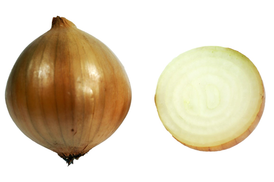 Onion-7.jpg