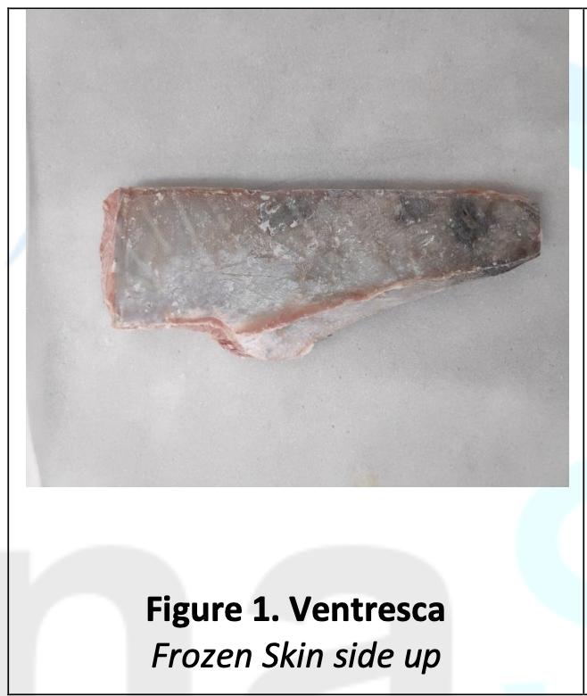 Figure 1. Ventresca.jpg.png