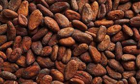 Cocoa2.jpg