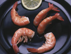 KS_white-shrimp-1_07-05.jpg