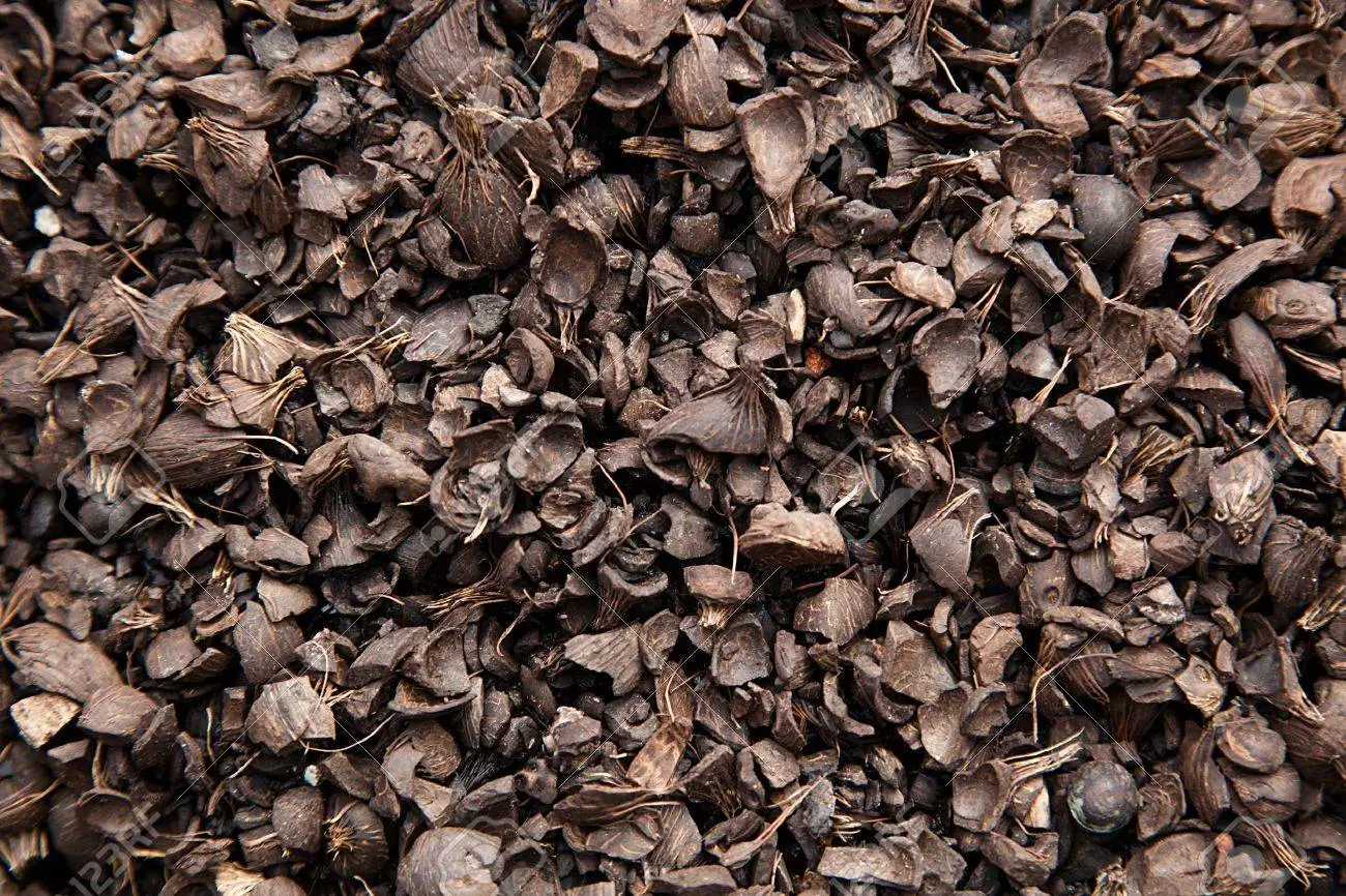 19748917-oil-palm-kernel-shell.webp