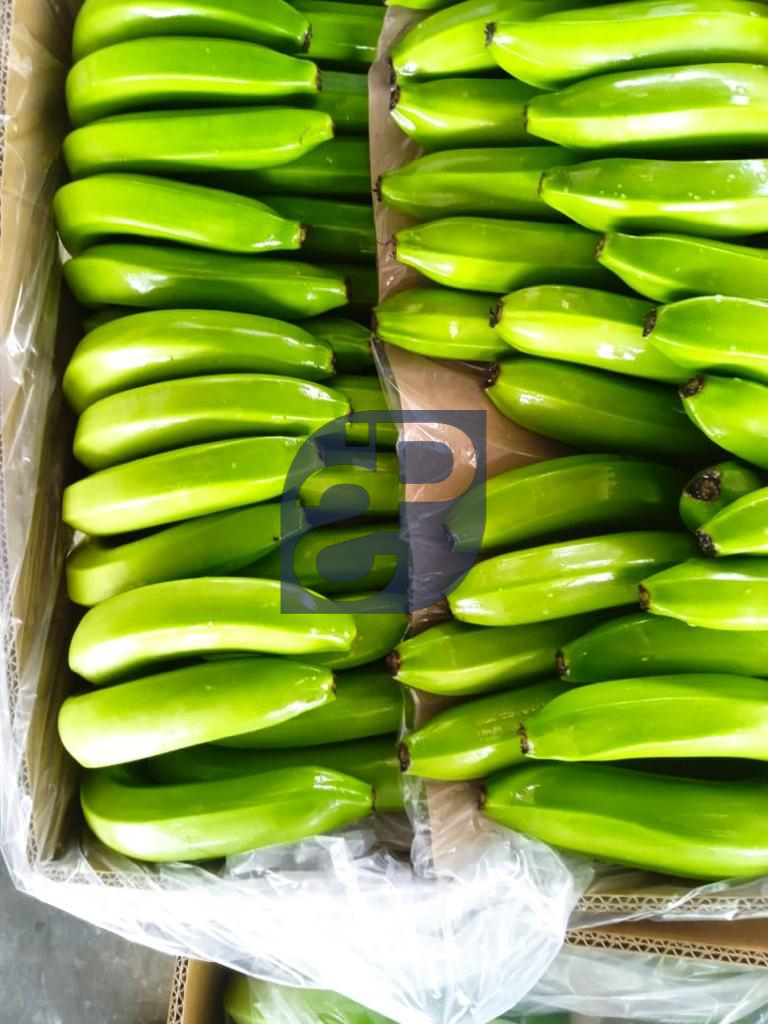 Bananas #12 - Standard & Partners.jpg