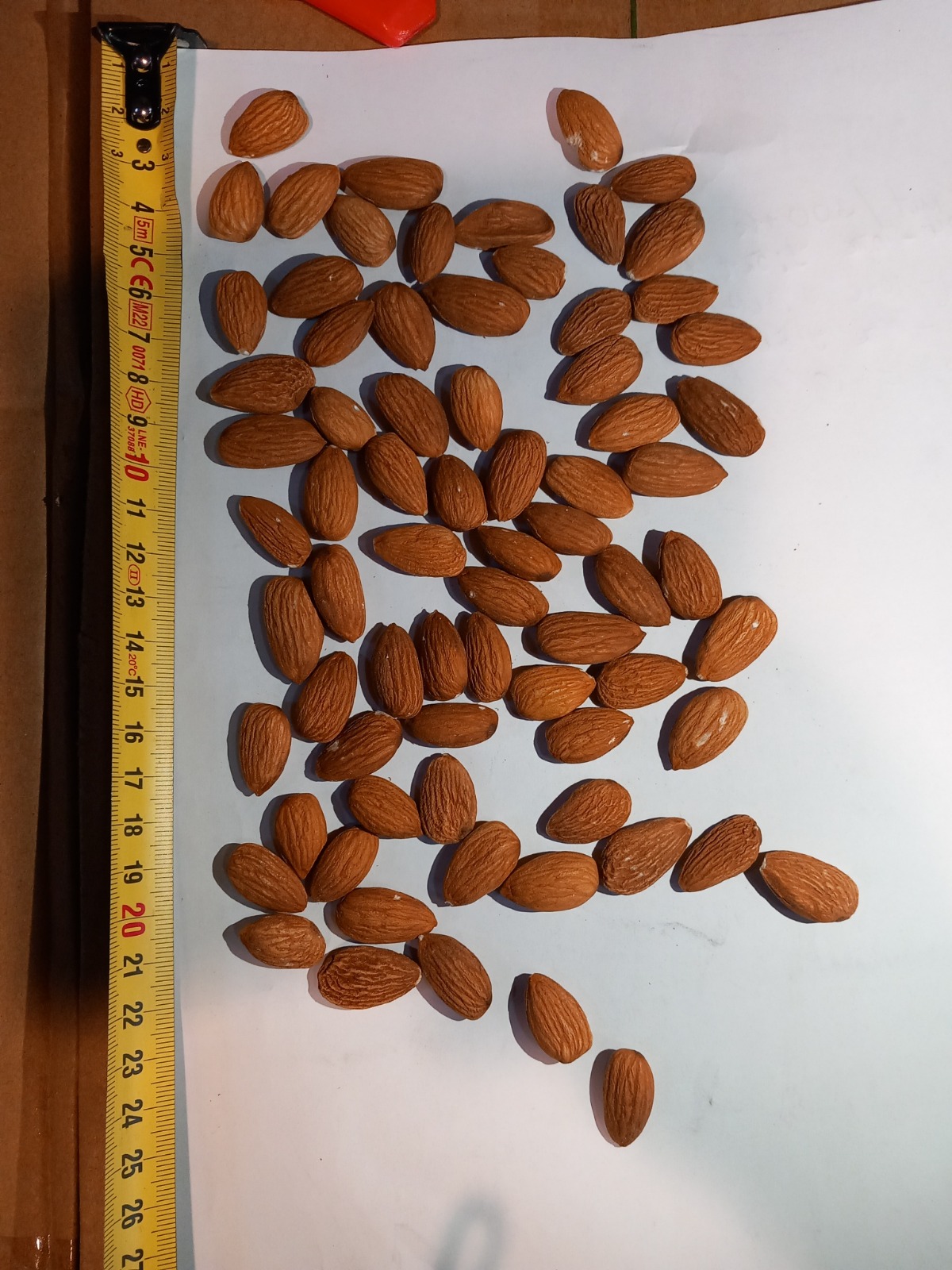 NPX1 2730 Almonds 2.jpg