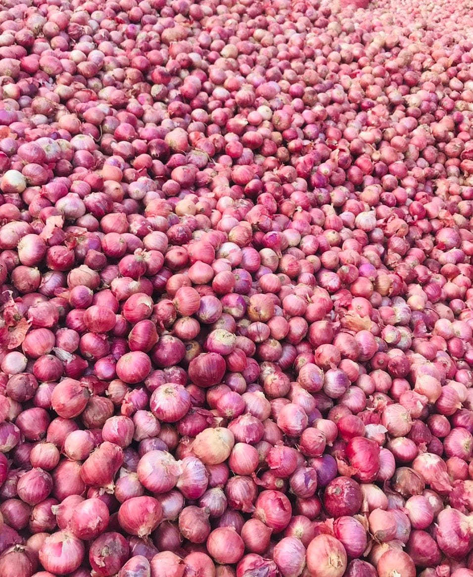 onion.jpg