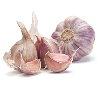 ajo violeta.jpg