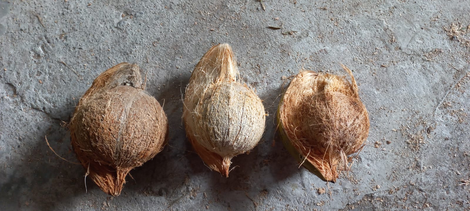 WhatsApp Image 2022-05-28 at 4.03.49 PM (1).jpeg