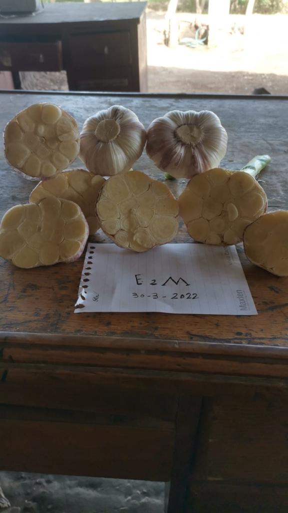 WhatsApp Image 2022-05-26 at 12.12.52 PM (10).jpeg