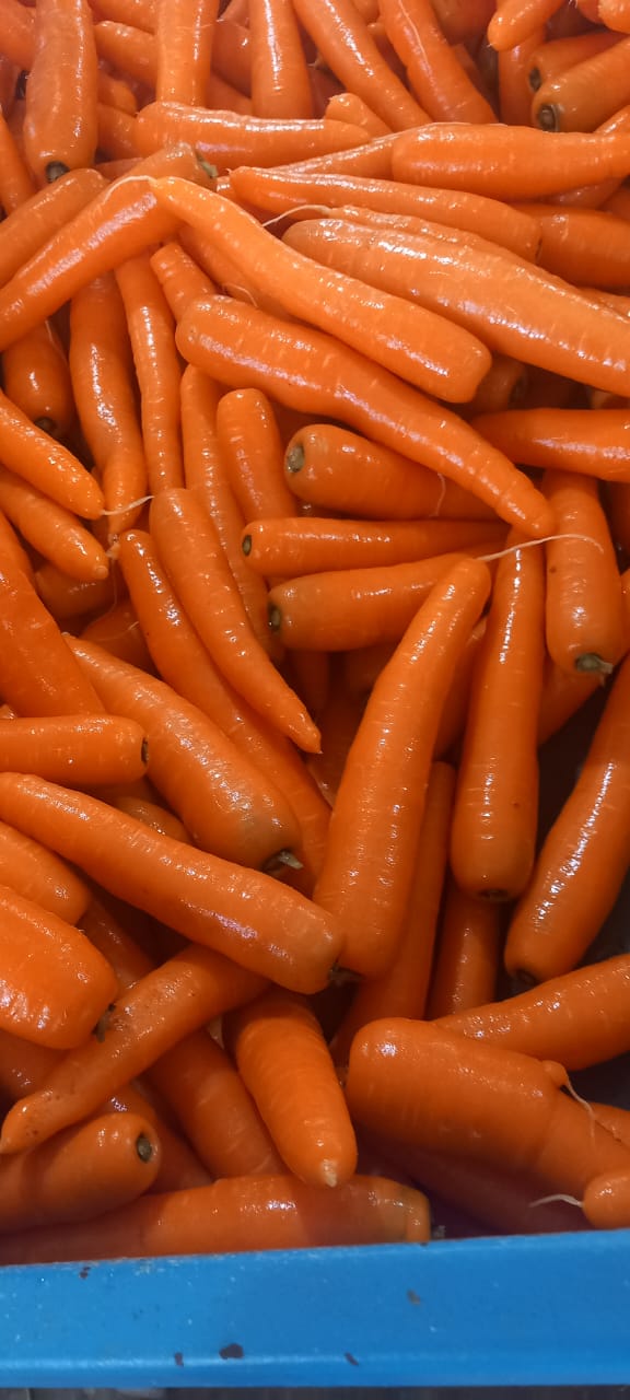 CARROTS 2.jpg