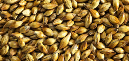 dark_crystal_malt_004-copy-420x200.jpg