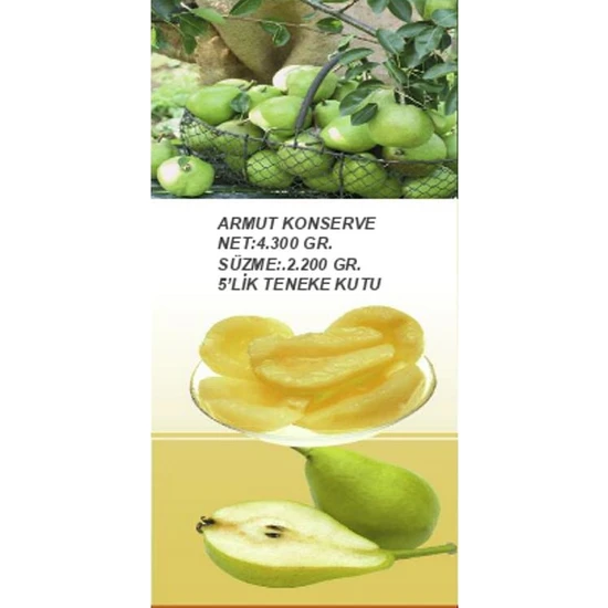 format_webp (4).jpg