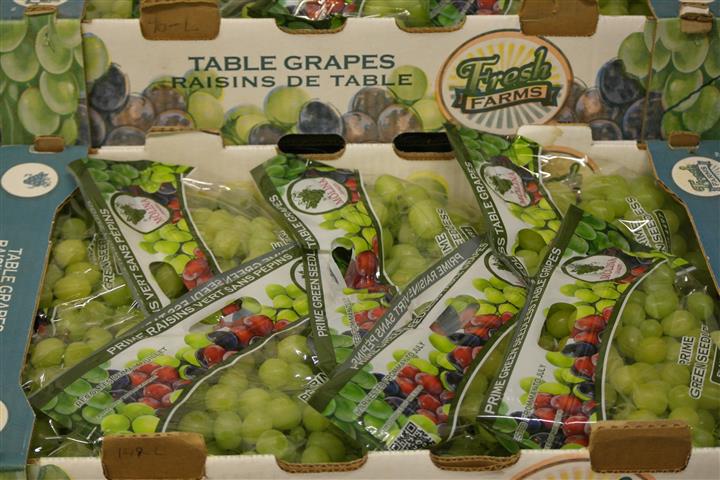 Tom Maceri & Son Inc