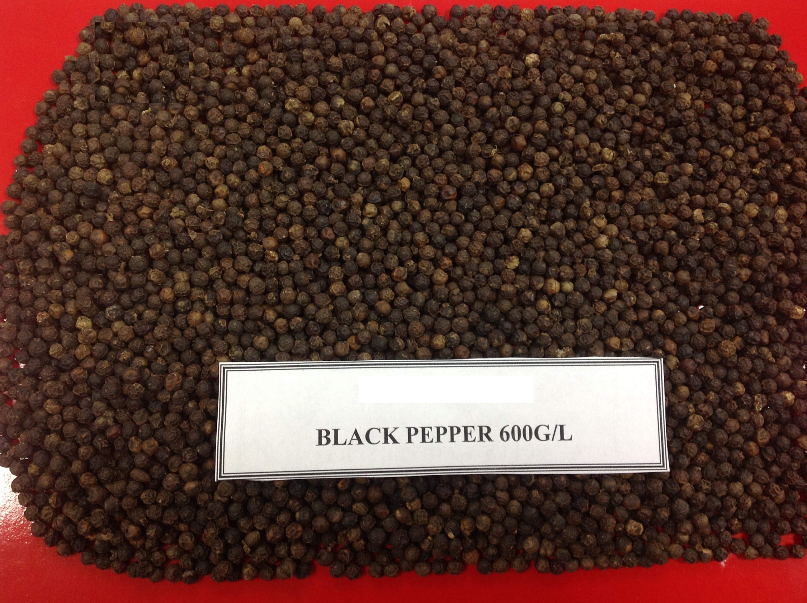 BLACK PEPPER 600GL.JPG