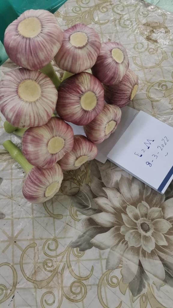 WhatsApp Image 2022-05-26 at 12.12.52 PM (6).jpeg