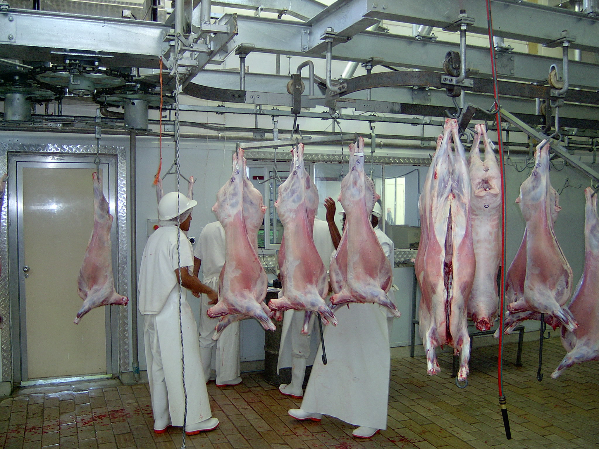 abattoir-2.jpg