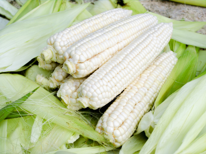 white corn.jpeg