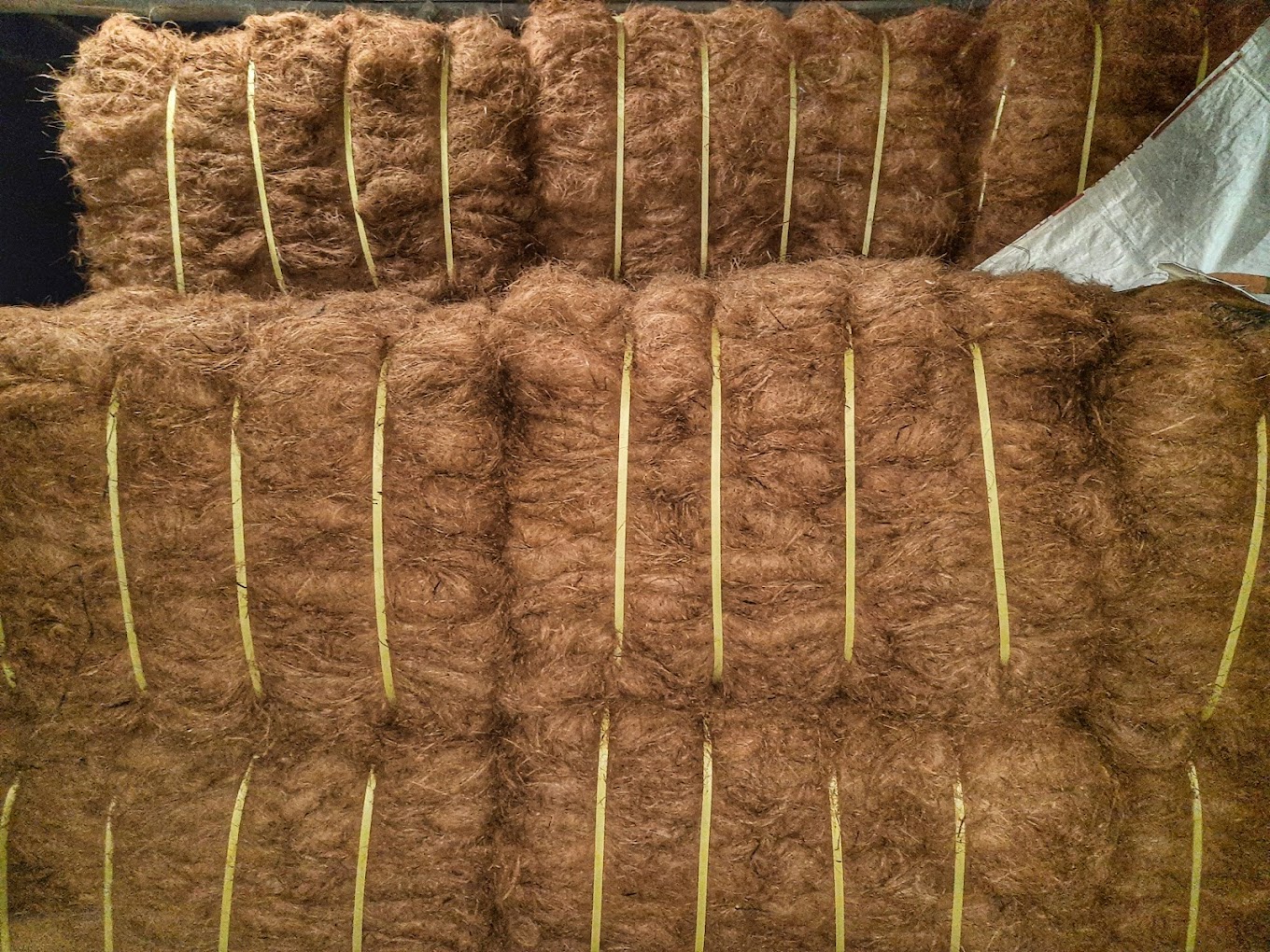 coco fiber.jpg