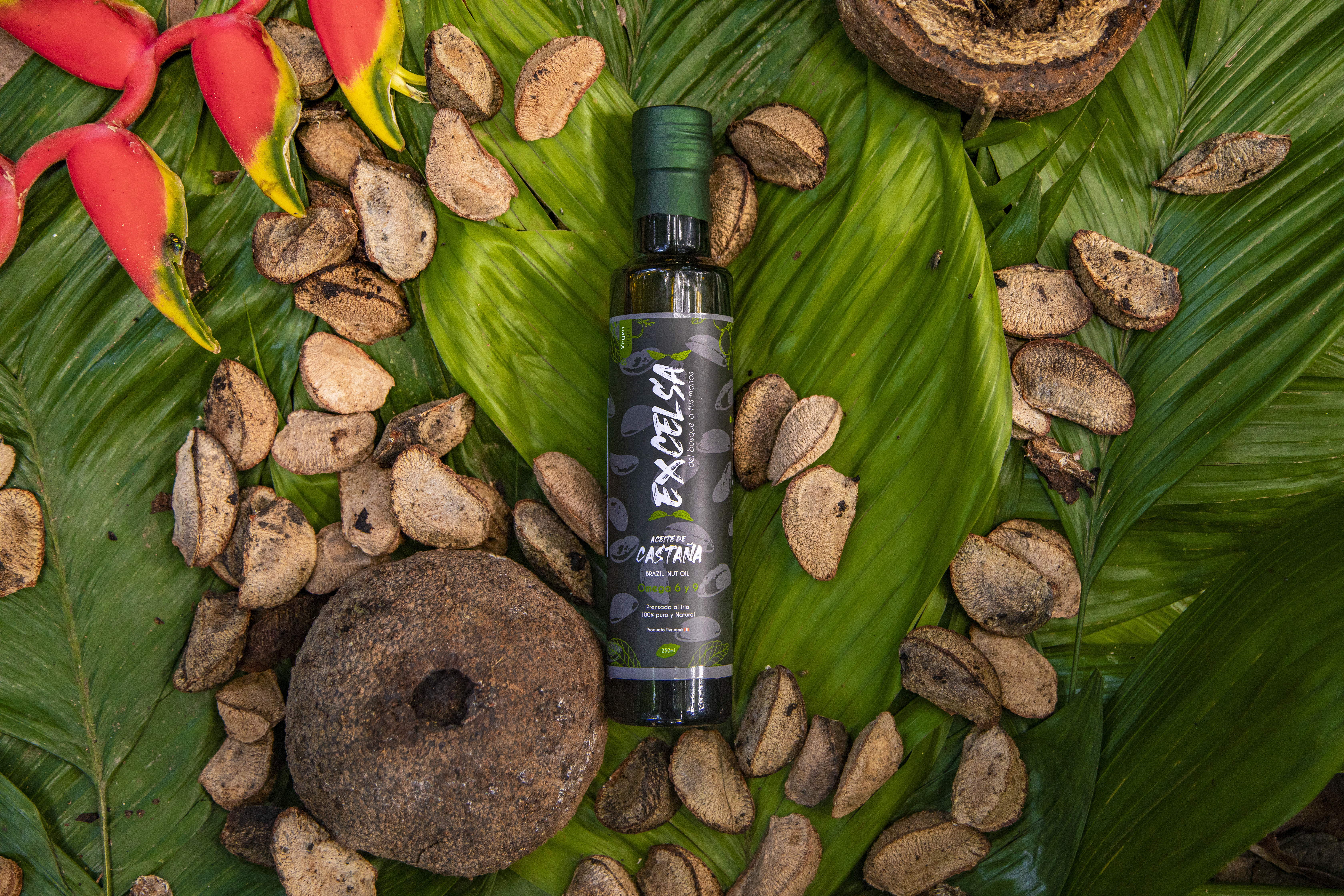 aceite de castaña excelsa.jpg