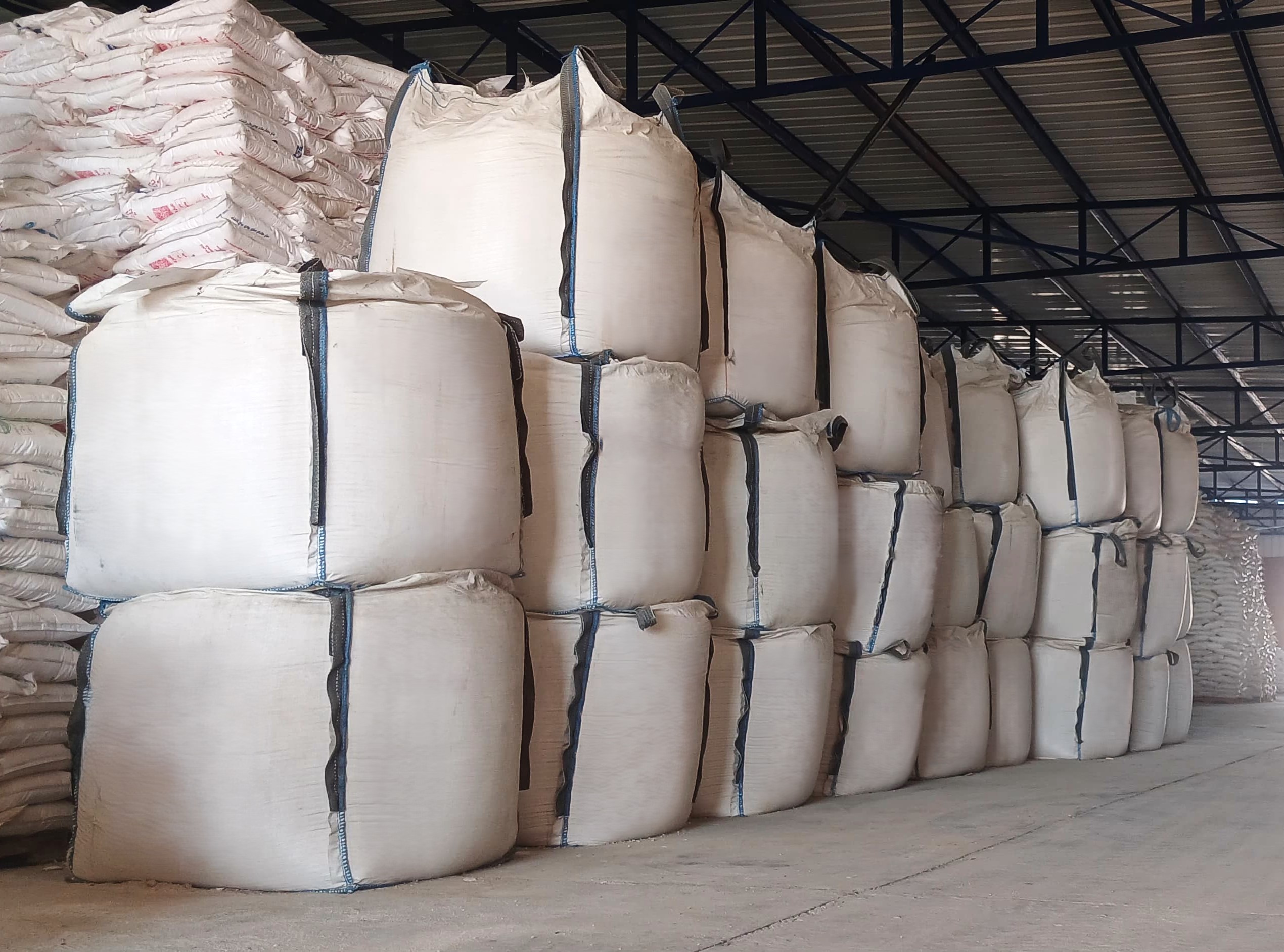 WhatsApp Image 2025-01-12 at 15.24.15.jpeg