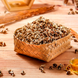 Moringa-Seeds.webp