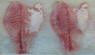 re-fresh-skinless-fillet.jpg
