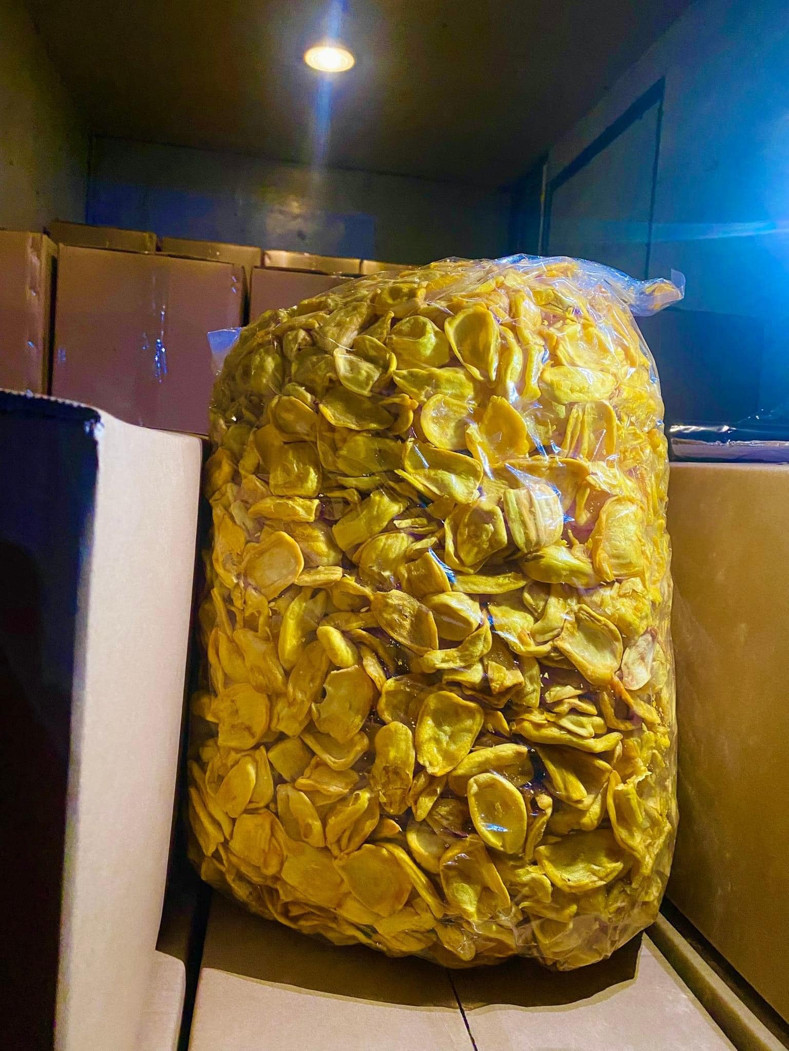 jackfruit5.jpg