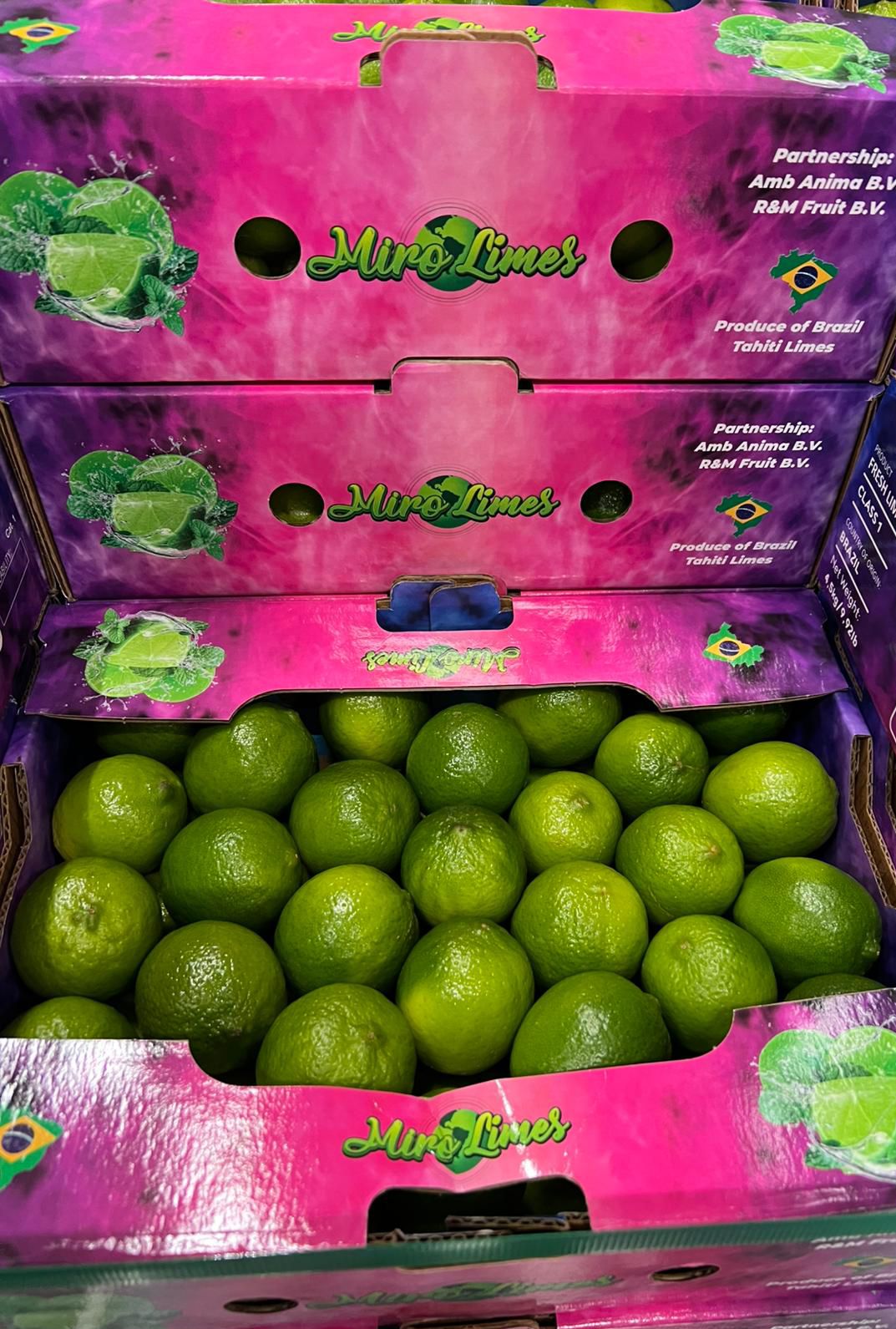 tahiti_lime_brazil#kodra-export_7.JPG