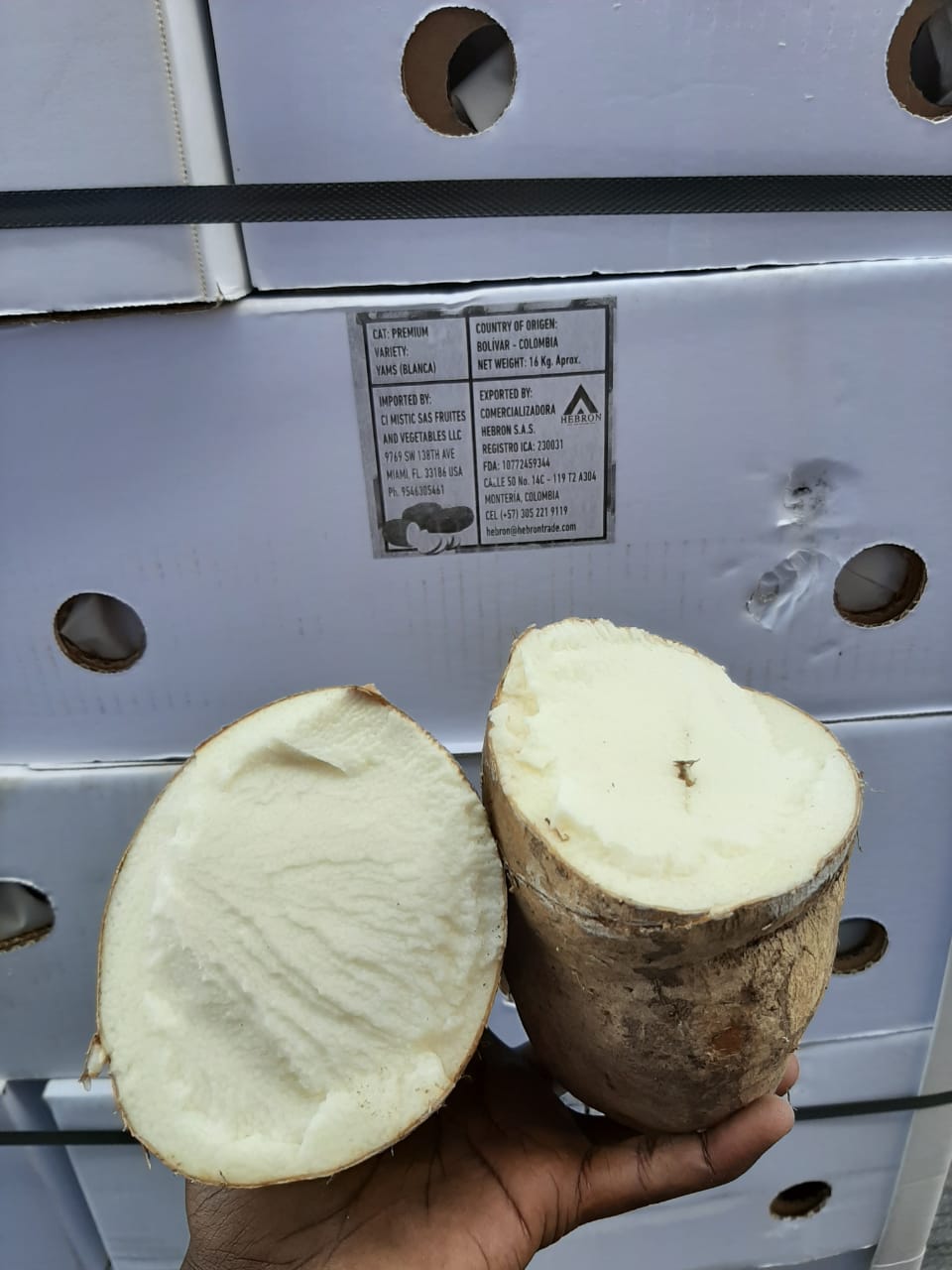 image2 (1).jpeg