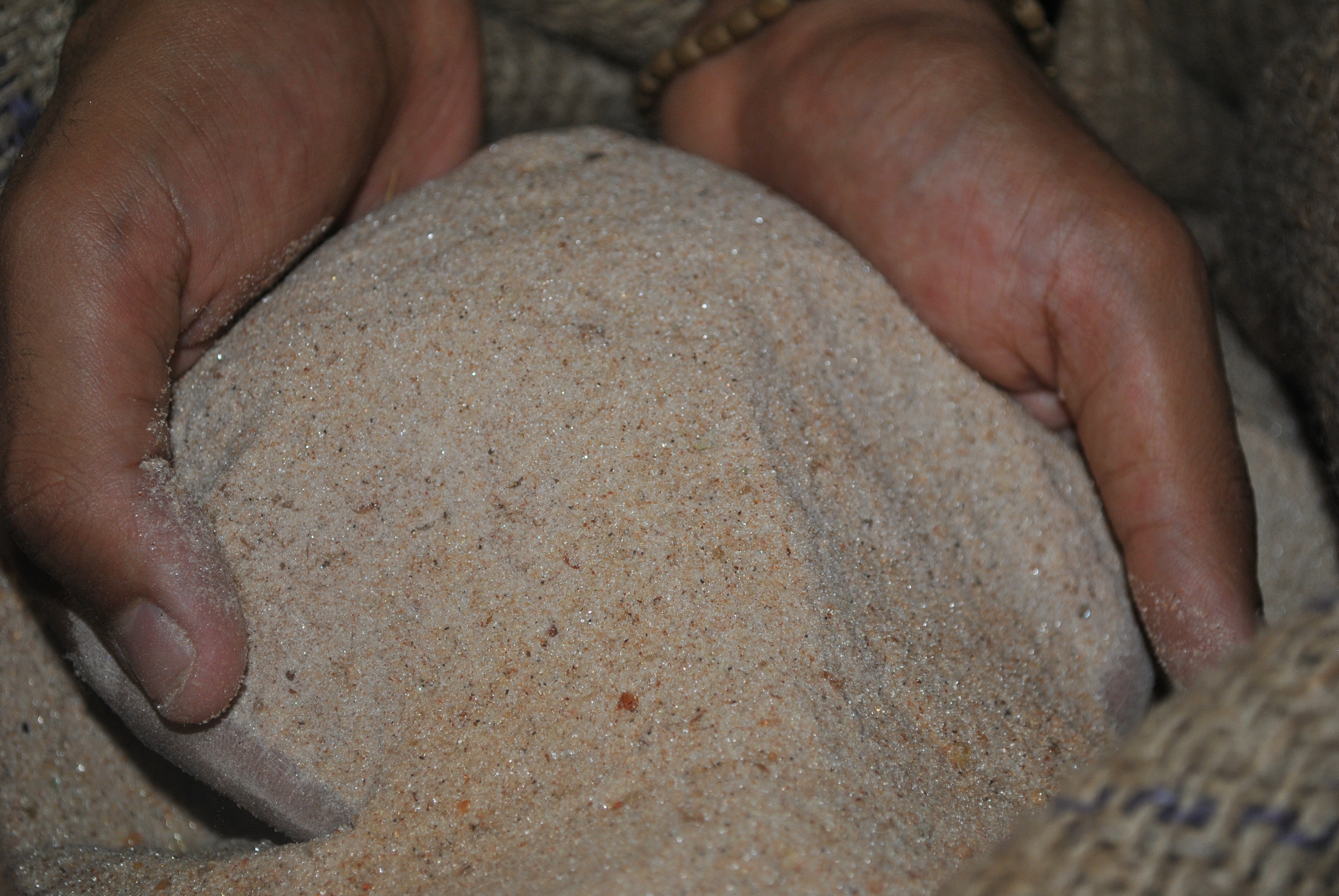 Talha Powder (2).JPG
