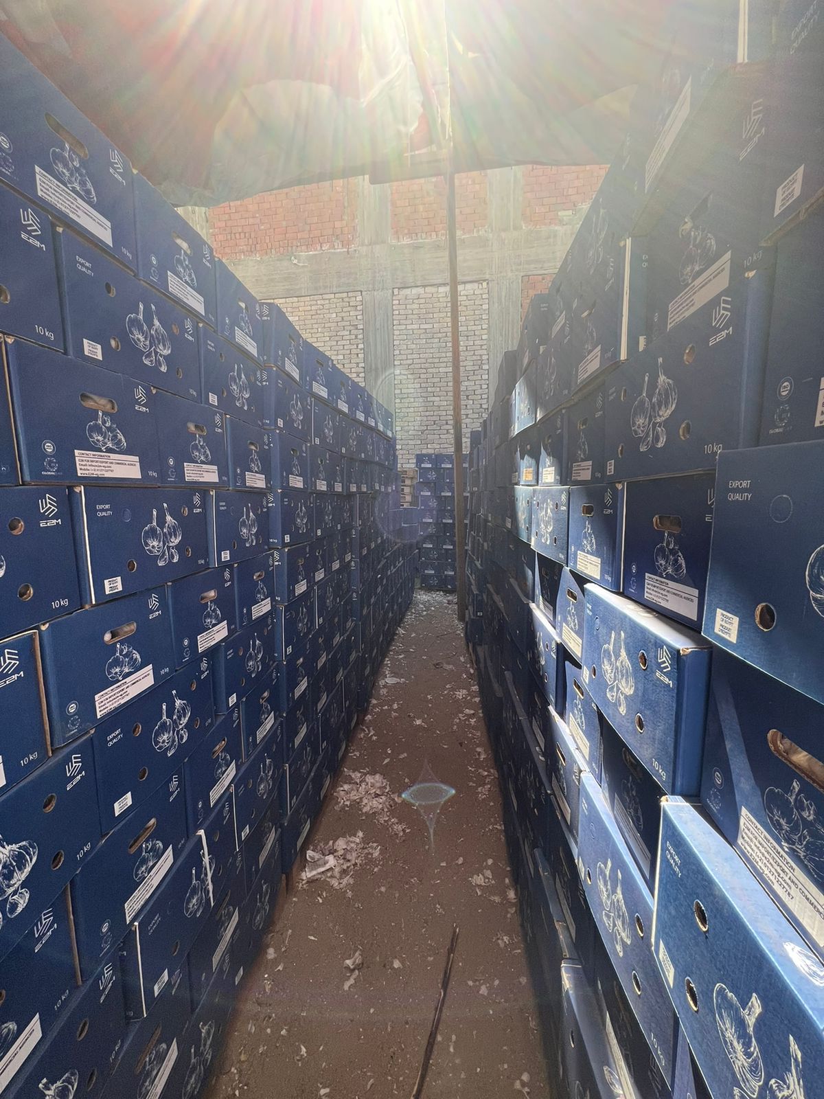 WhatsApp Image 2022-05-26 at 12.16.36 PM.jpeg