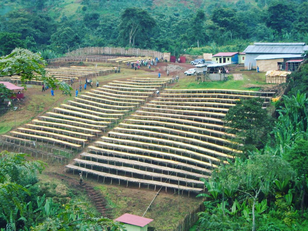 washing station in Yirgacheffe