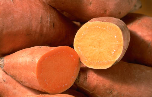 sweet potato