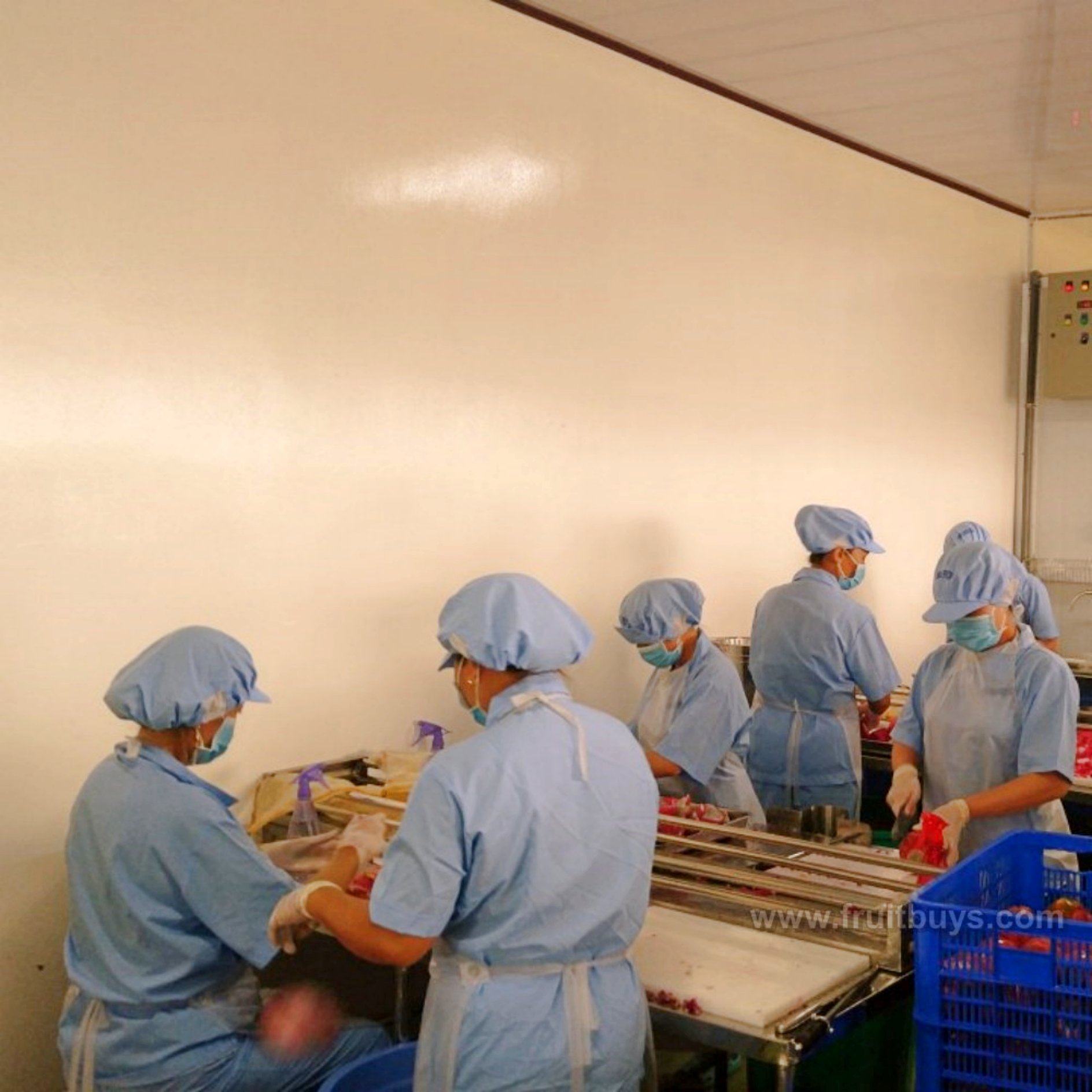 Soft Dried Dragon Fruit Slices No Sugar-FruitBuys Vietnam (4).jpg