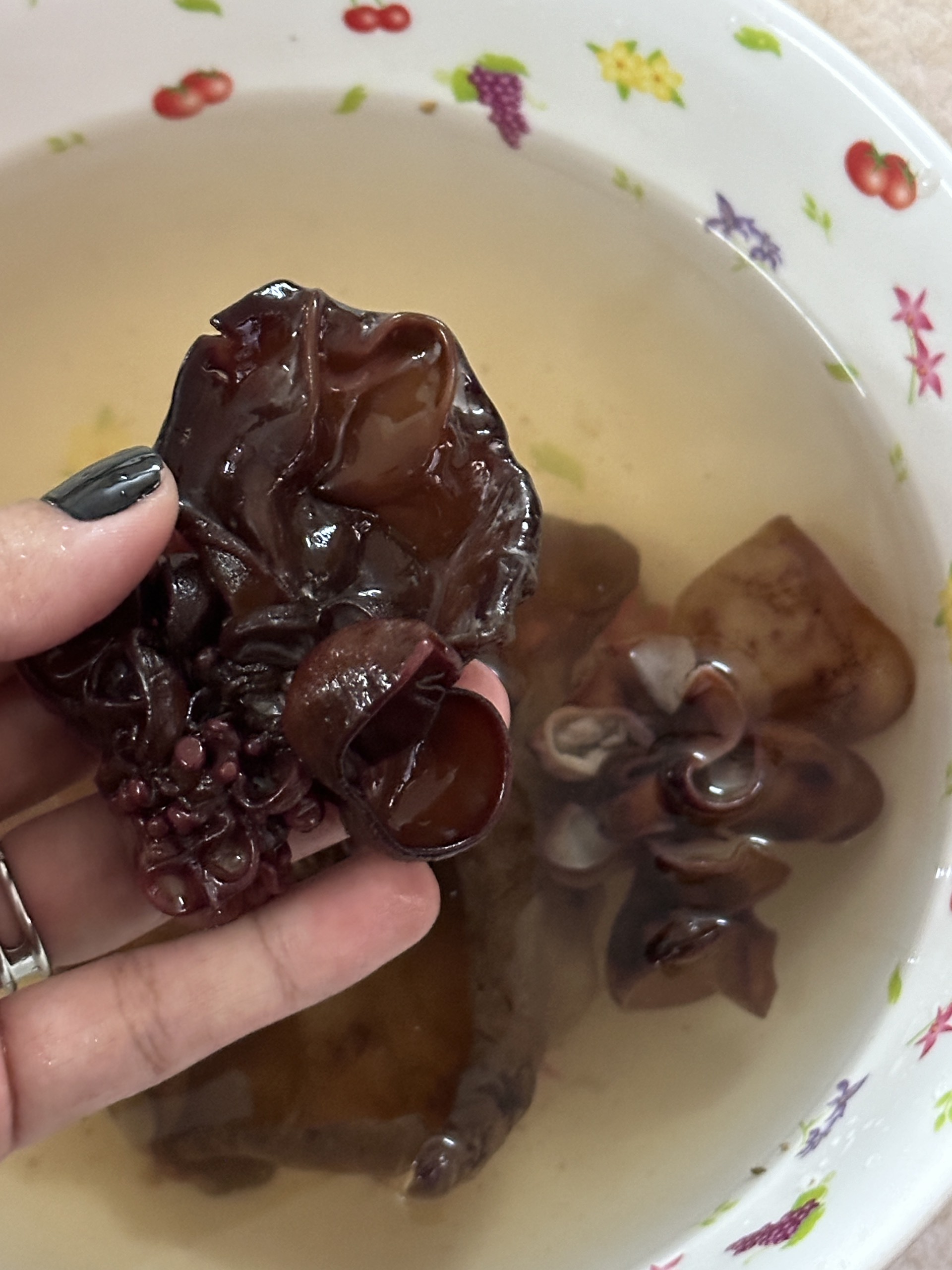 blackfungus2.jpg
