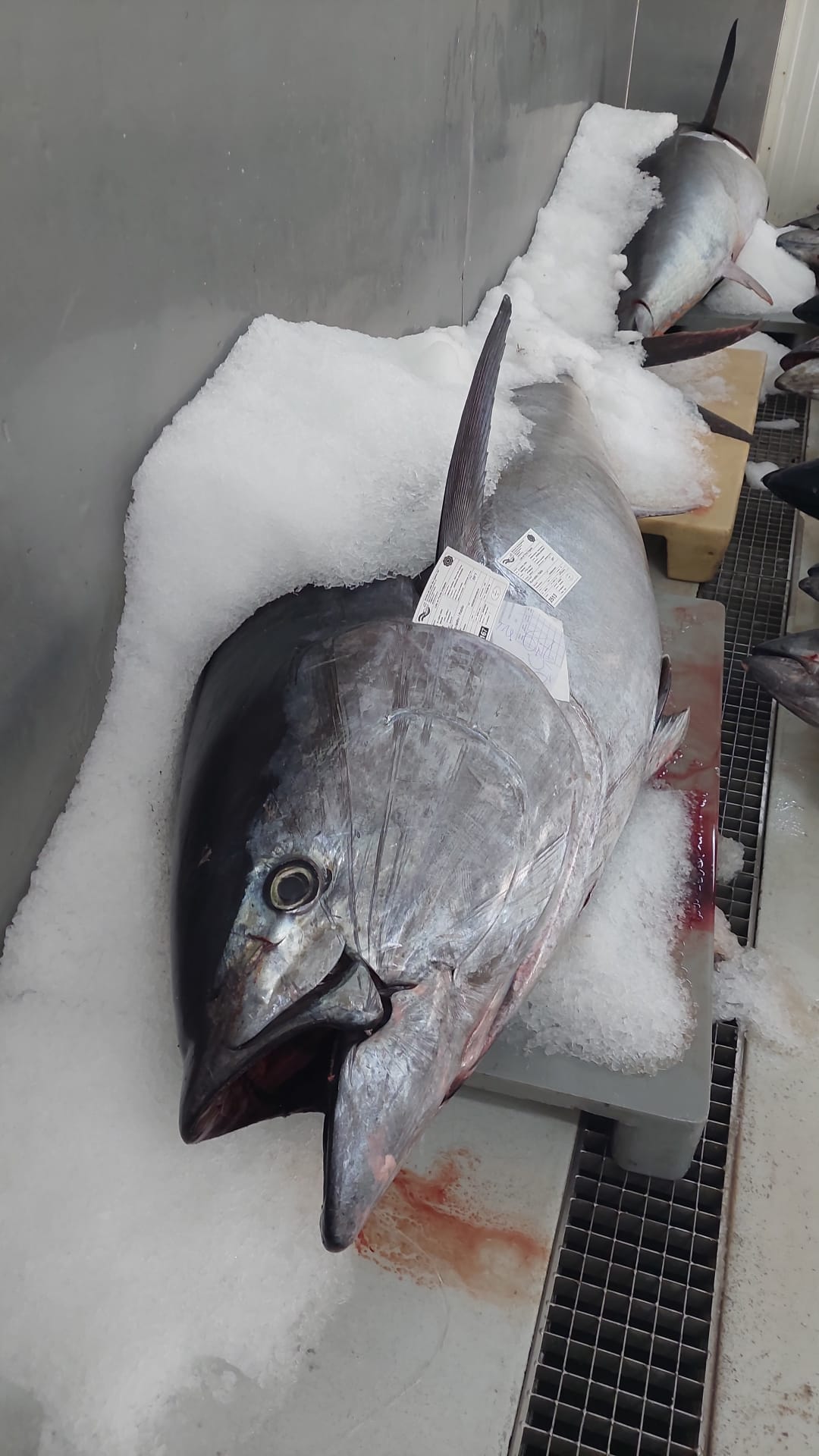 WhatsApp Image 2023-09-28 at 00.54.01.jpeg