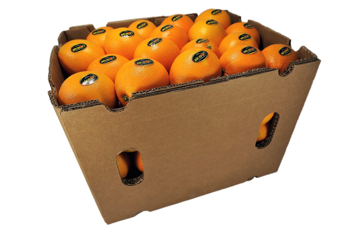 Orange Telescopic 72_1.jpg