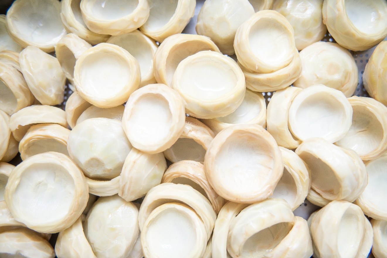 Artichoke Bottoms.jpg