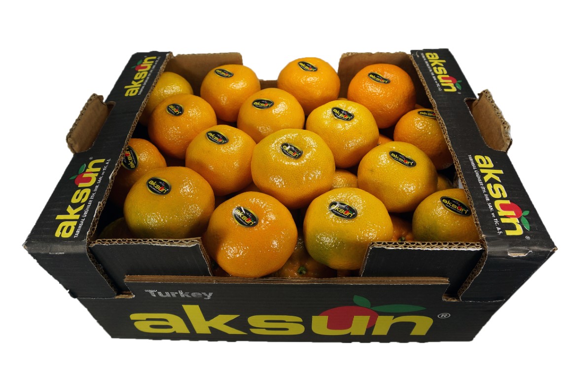 Mandarin 48_2.jpg
