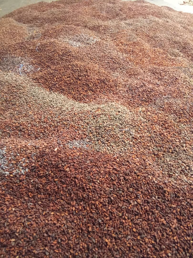 WhatsApp Image 2025-02-01 at 08.32.13.jpeg