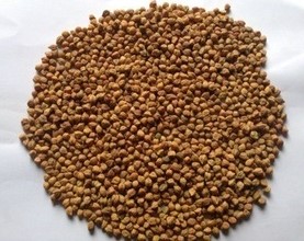 gagarii 3456932.jpg