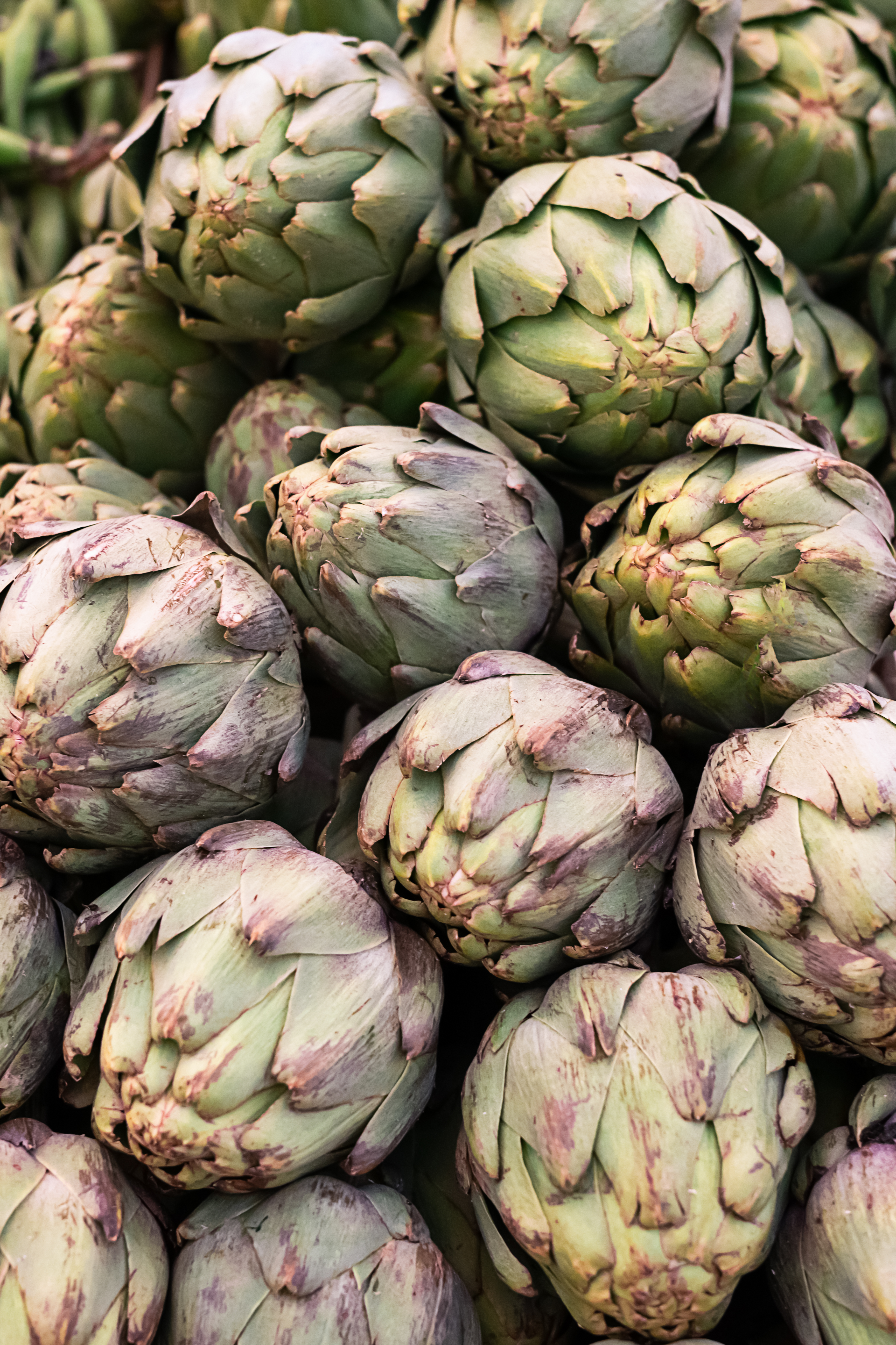 bunch-of-fresh-artichokes-in-the-market-top-view-2023-11-27-05-37-21-utc.jpg