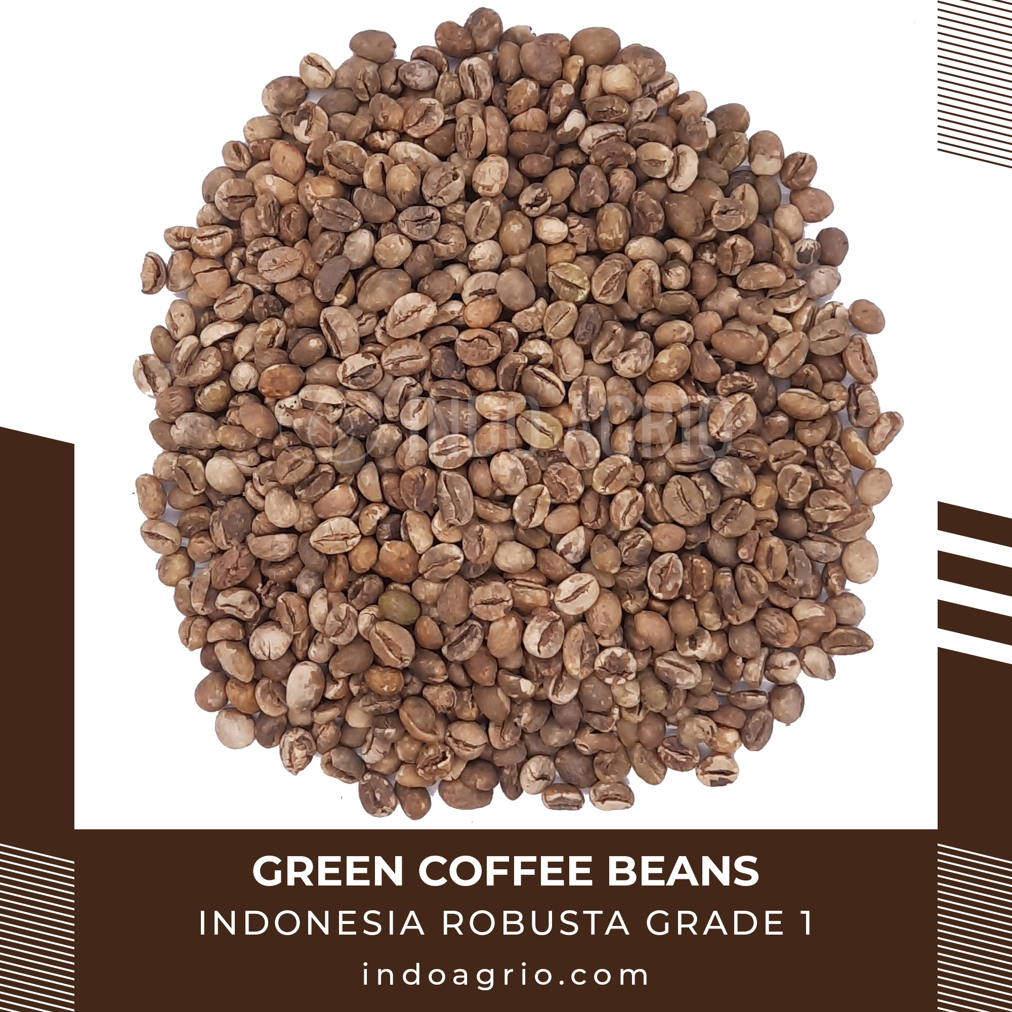 ROBUSTA-GRADE-1.jpg