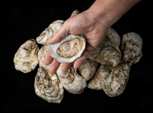 HIOC_Oysters_14-300x222.jpg