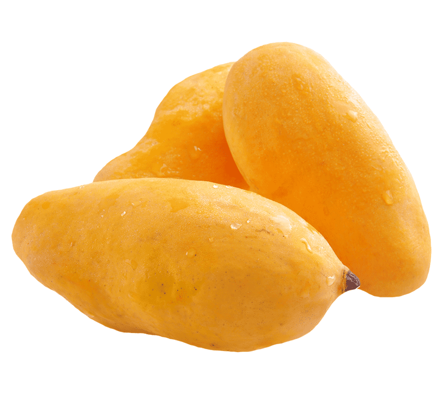 mango1.png
