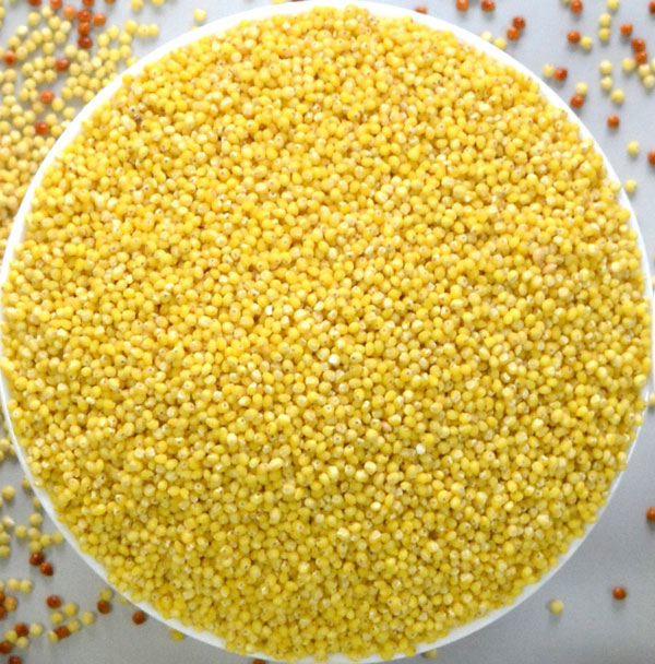 Hulled_Millet.jpg