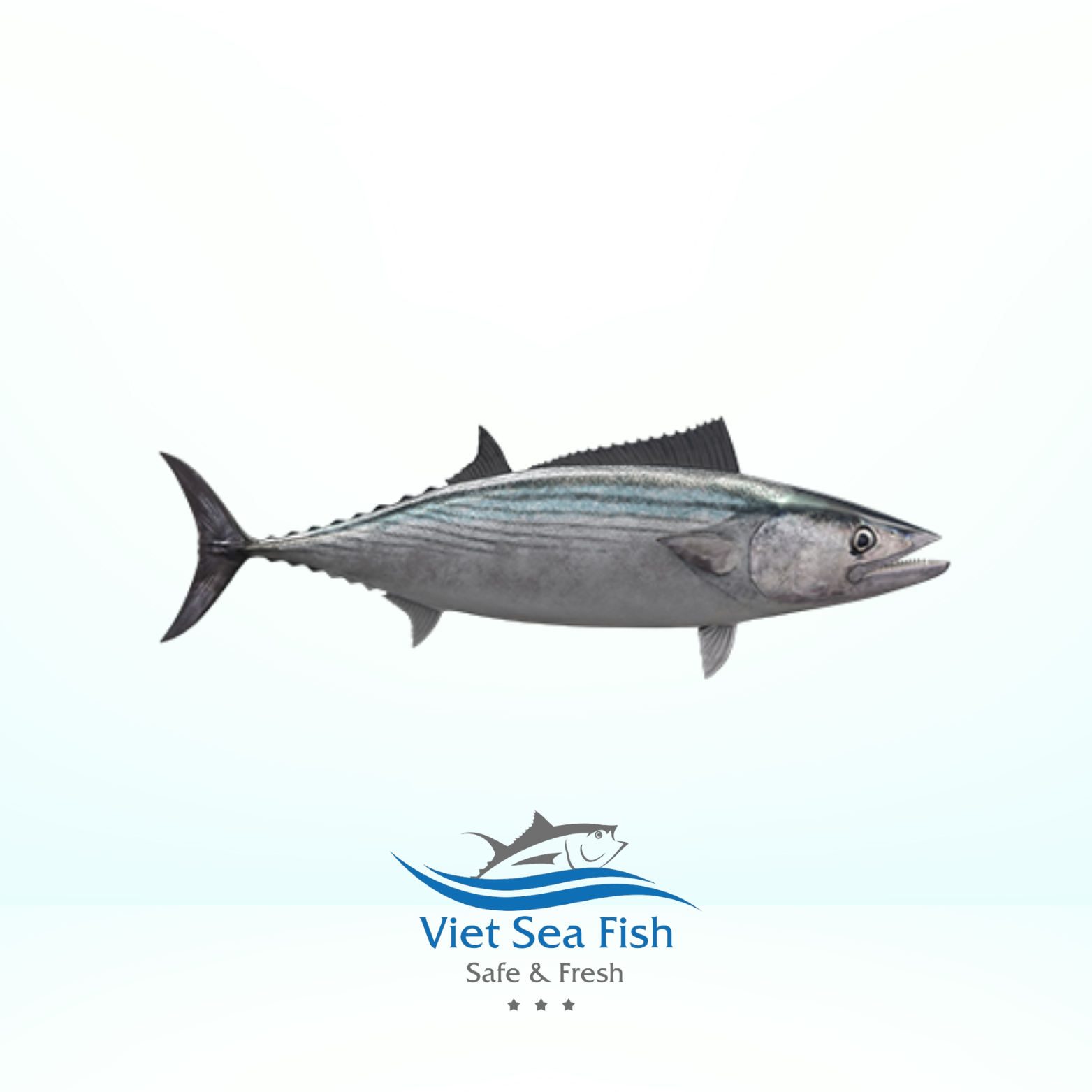 Bonito Tuna.png